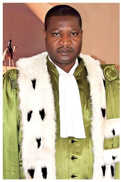 Professor Oumarou Narey in his robes as member and Vice-President of the Constitutional Court