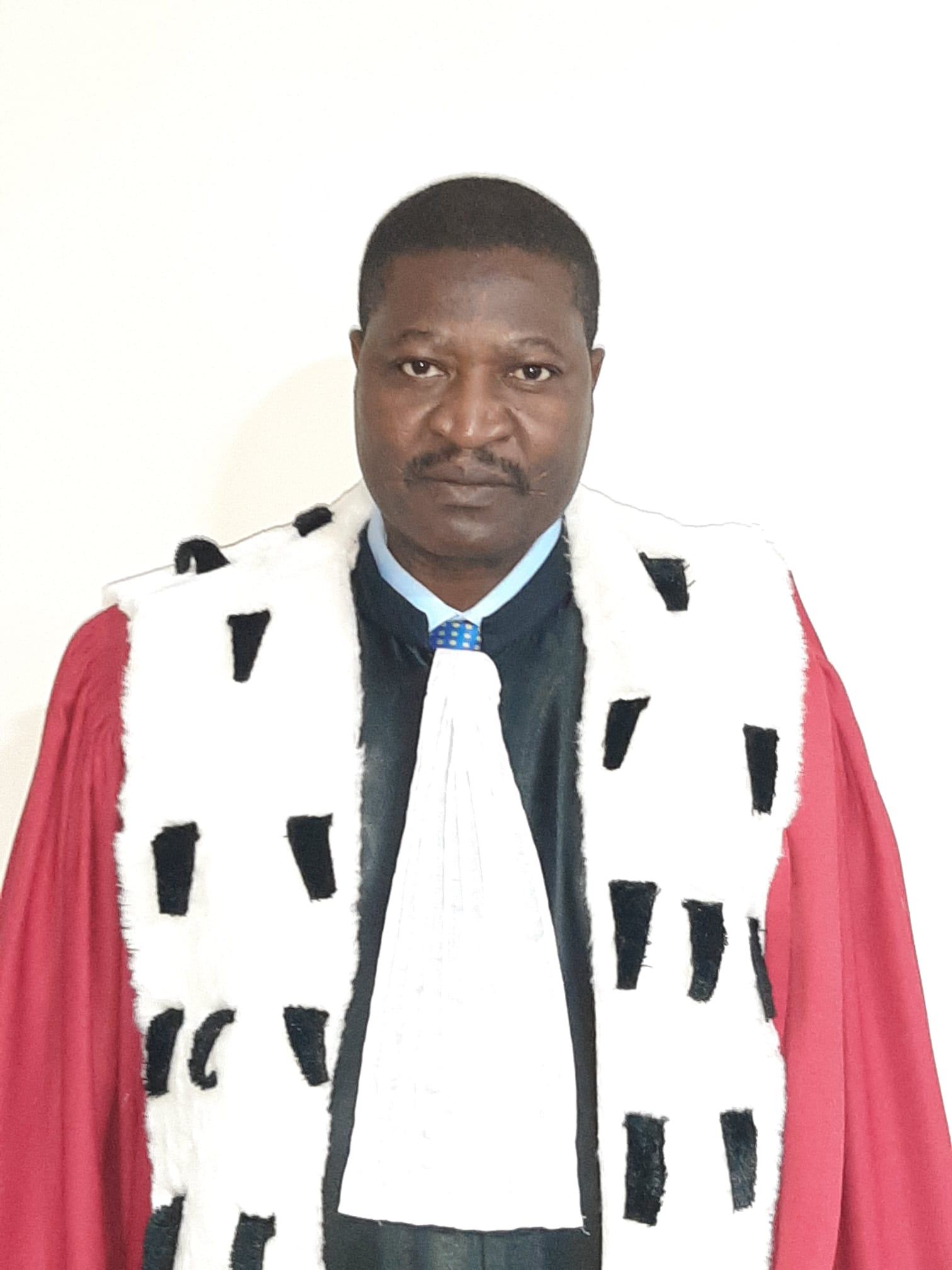 In the robes of the First President of the Court of Auditors